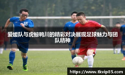 爱媛队与虎鲸鸭川的精彩对决展现足球魅力与团队精神